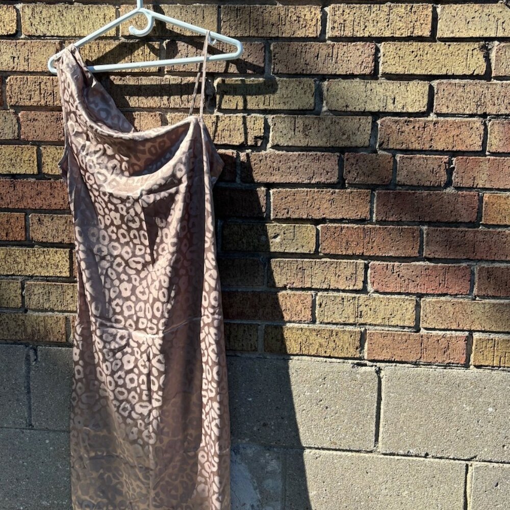 Satin Leopard Print Slip Dress